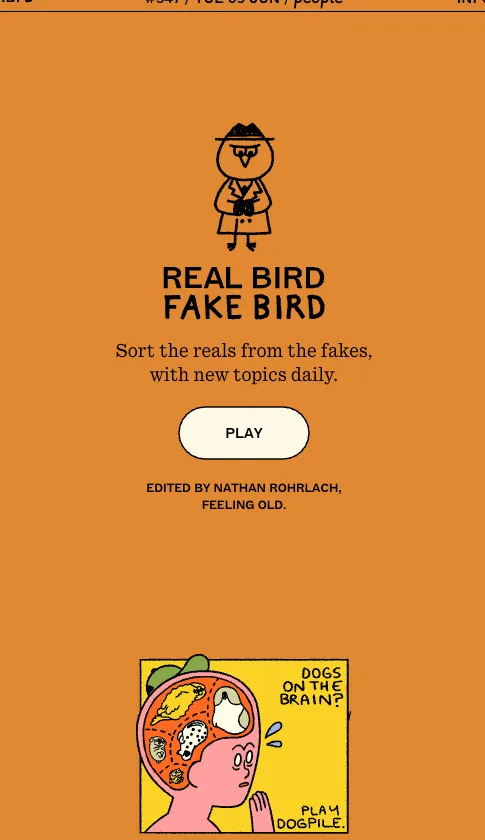 Real Bird Fake Bird Game