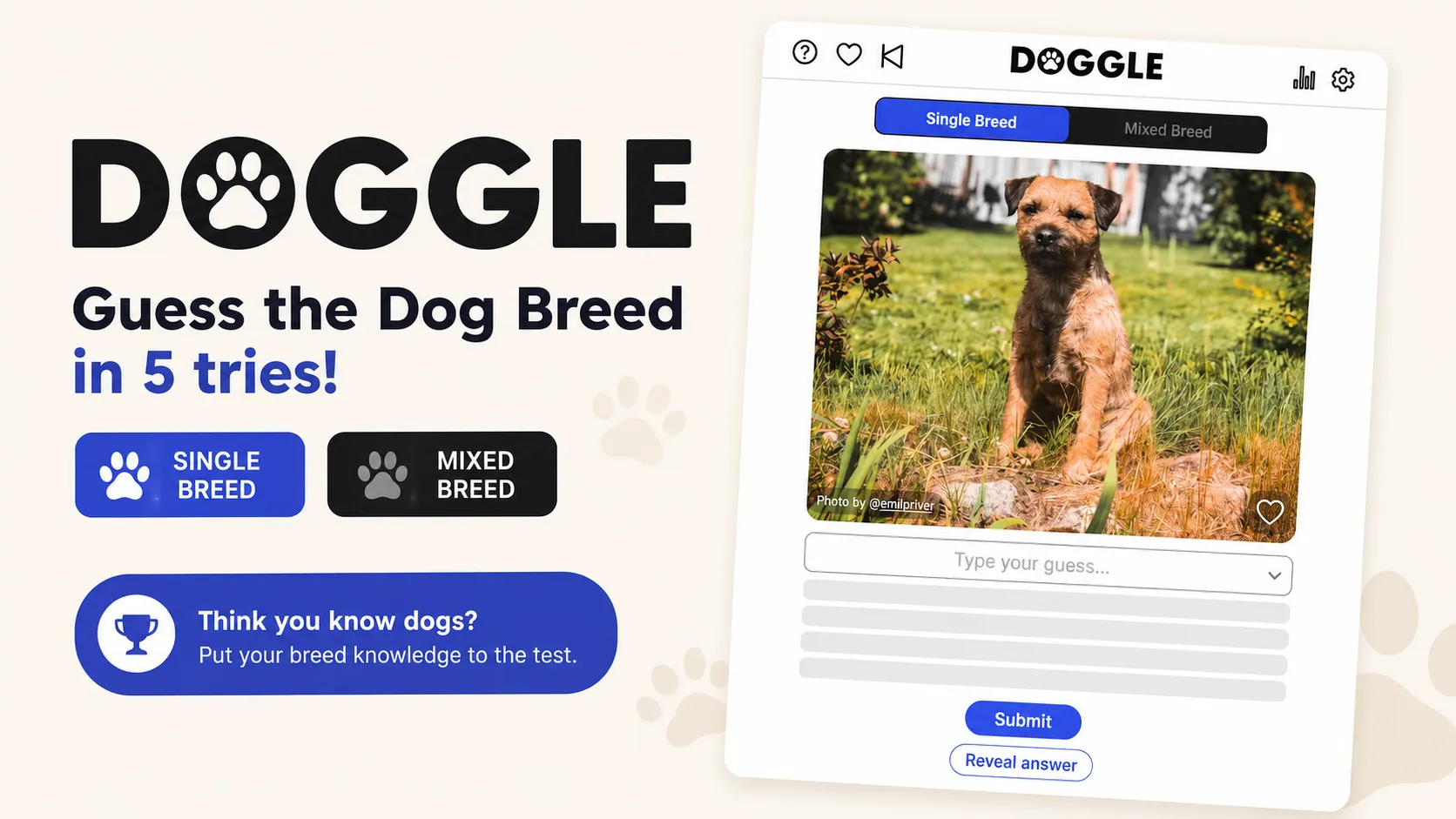 Doggle