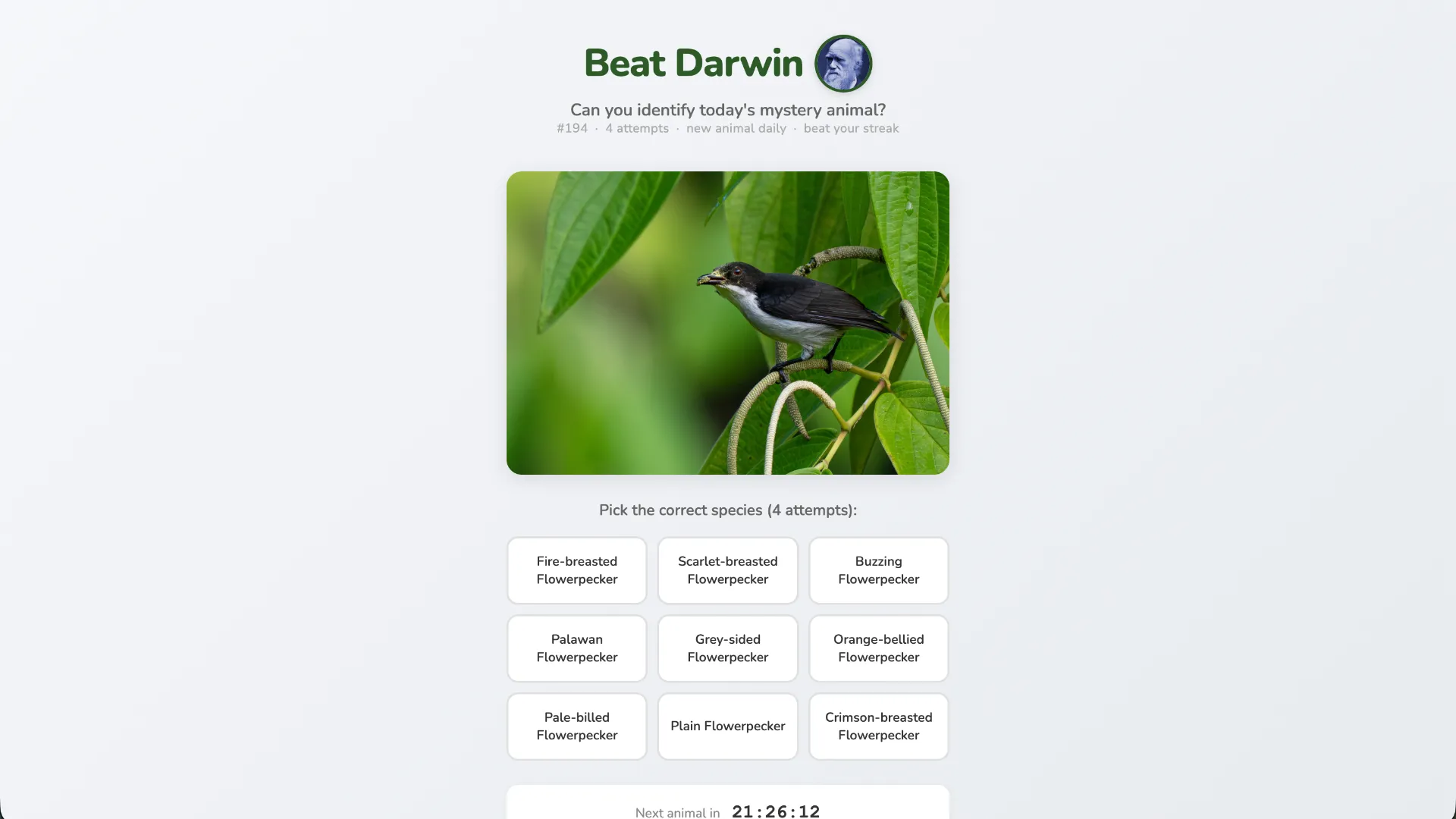 Beat Darwin cover