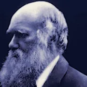 Beat Darwin logo
