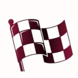 Flagdoku logo